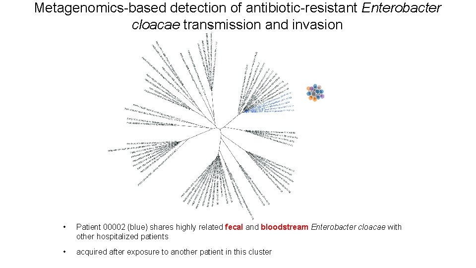 Metagenomics-based detection of antibiotic-resistant Enterobacter cloacae transmission and invasion • Patient 00002 (blue) shares