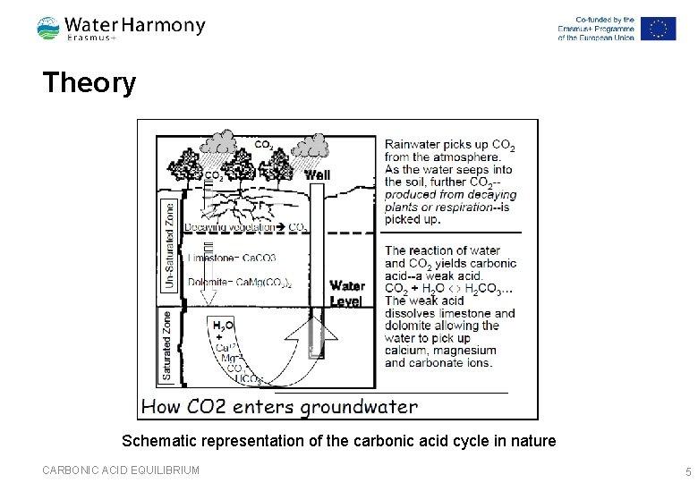 Theory Schematic representation of the carbonic acid cycle in nature CARBONIC ACID EQUILIBRIUM 5