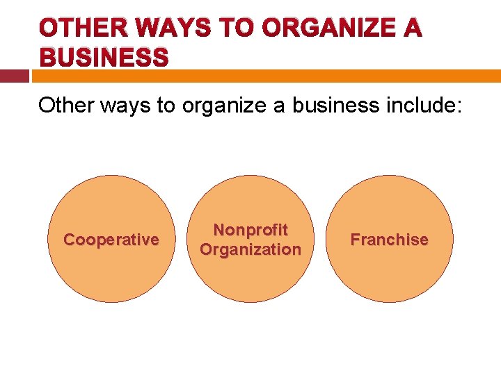 OTHER WAYS TO ORGANIZE A BUSINESS Other ways to organize a business include: Cooperative