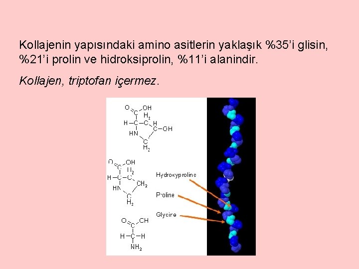 Kollajenin yapısındaki amino asitlerin yaklaşık %35’i glisin, %21’i prolin ve hidroksiprolin, %11’i alanindir. Kollajen,