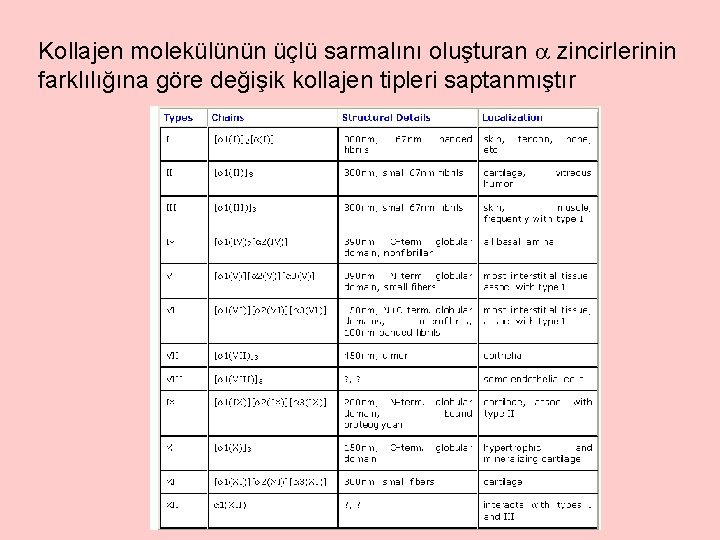 Kollajen molekülünün üçlü sarmalını oluşturan zincirlerinin farklılığına göre değişik kollajen tipleri saptanmıştır 