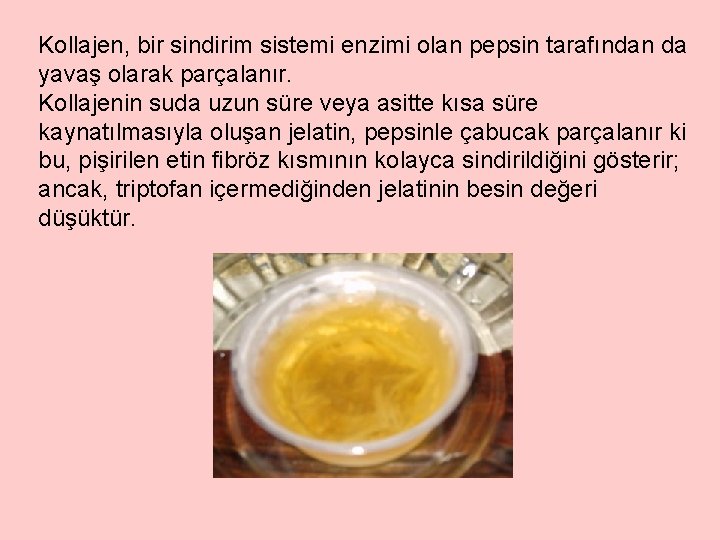 Kollajen, bir sindirim sistemi enzimi olan pepsin tarafından da yavaş olarak parçalanır. Kollajenin suda