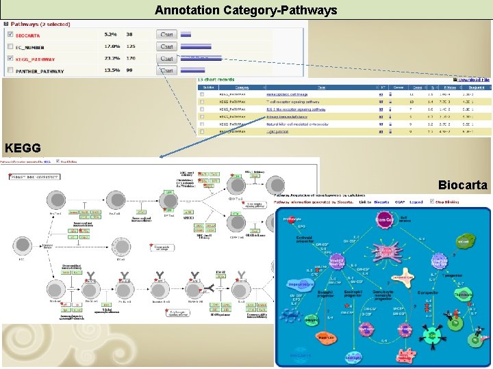 Annotation Category-Pathways KEGG Biocarta 