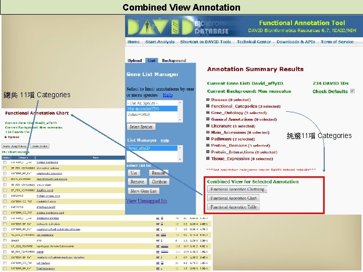 Combined View Annotation 總共 11項 Categories 挑選 11項 Categories 