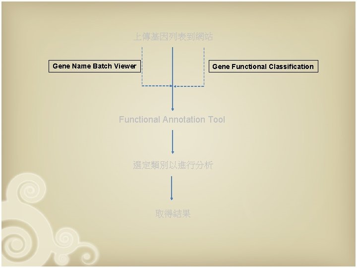 上傳基因列表到網站 Gene Name Batch Viewer Gene Functional Classification Functional Annotation Tool 選定類別以進行分析 取得結果 
