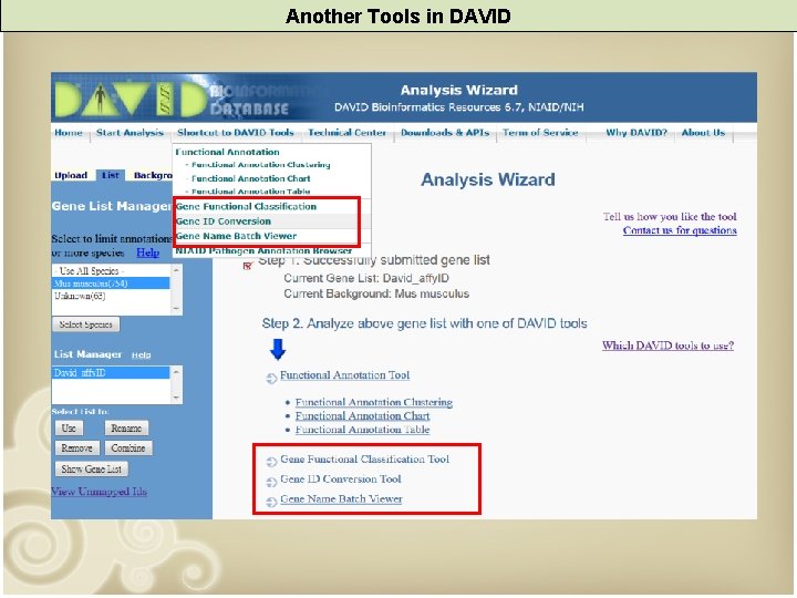 Another Tools in DAVID 