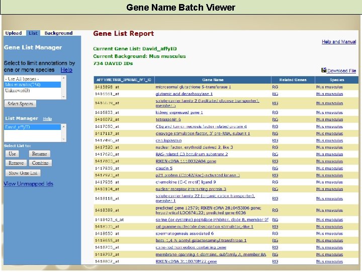 Gene Name Batch Viewer 