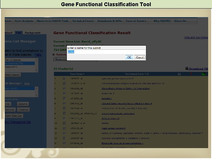 Gene Functional Classification Tool Term report 