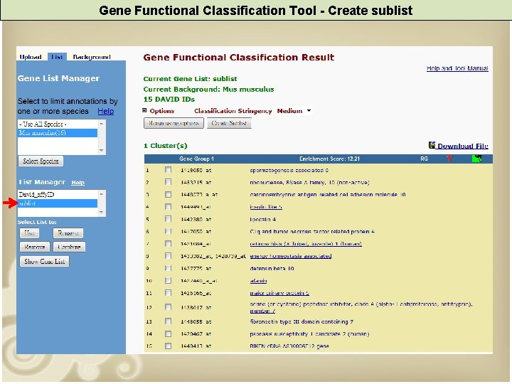 Gene Functional Classification Tool - Create sublist 