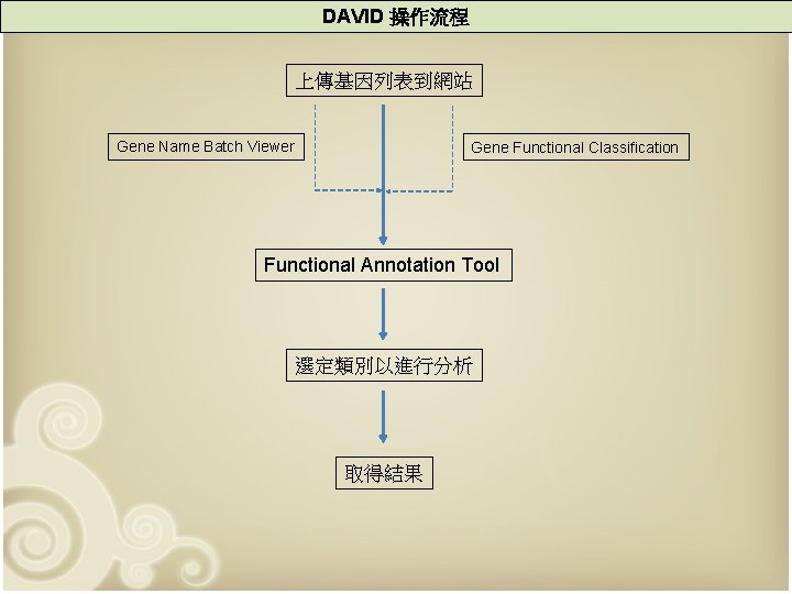 DAVID 操作流程 上傳基因列表到網站 Gene Name Batch Viewer Gene Functional Classification Functional Annotation Tool 選定類別以進行分析