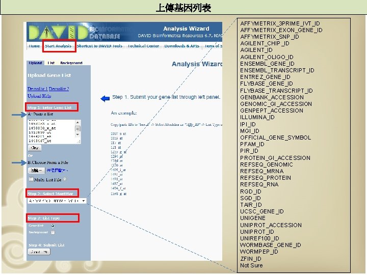 上傳基因列表 AFFYMETRIX_3 PRIME_IVT_ID AFFYMETRIX_EXON_GENE_ID AFFYMETRIX_SNP_ID AGILENT_CHIP_ID AGILENT_OLIGO_ID ENSEMBL_GENE_ID ENSEMBL_TRANSCRIPT_ID ENTREZ_GENE_ID FLYBASE_TRANSCRIPT_ID GENBANK_ACCESSION GENOMIC_GI_ACCESSION GENPEPT_ACCESSION