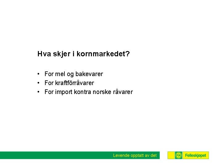 Hva skjer i kornmarkedet? • For mel og bakevarer • For kraftfôrråvarer • For