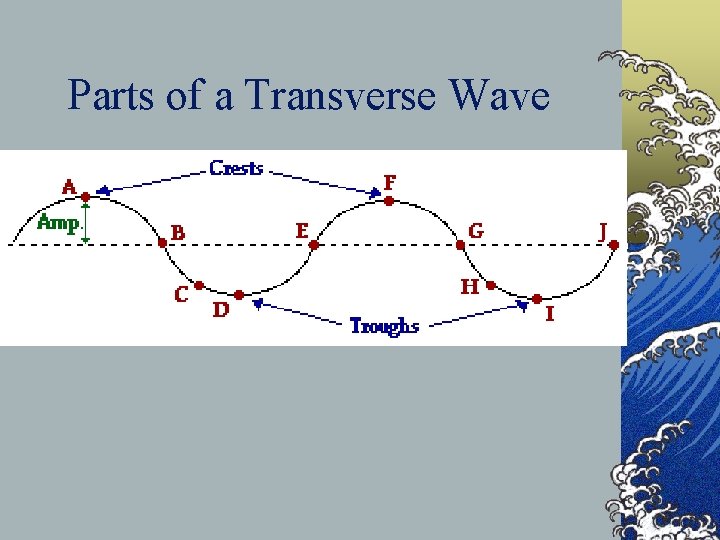 Parts of a Transverse Wave 