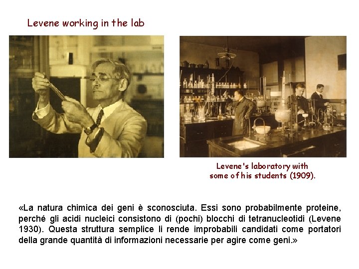 Levene working in the lab Levene's laboratory with some of his students (1909). «La