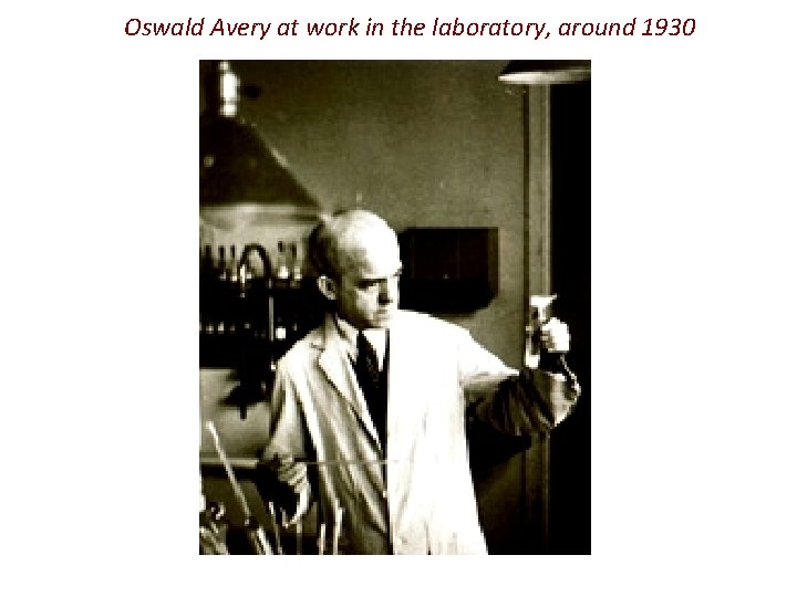 Oswald Avery at work in the laboratory, around 1930 