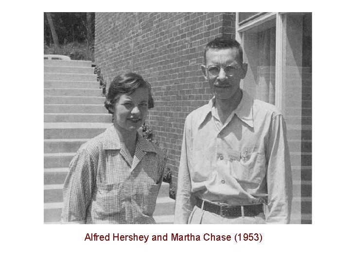 Alfred Hershey and Martha Chase (1953) 