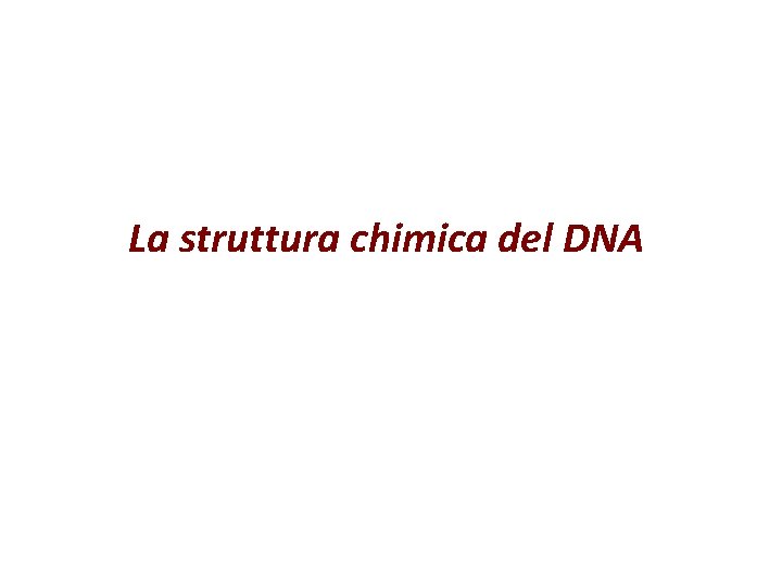 La struttura chimica del DNA 