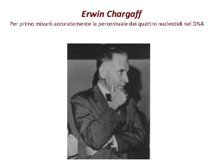 Erwin Chargaff Per primo misurò accuratamente la percentuale dei quattro nucleotidi nel DNA 