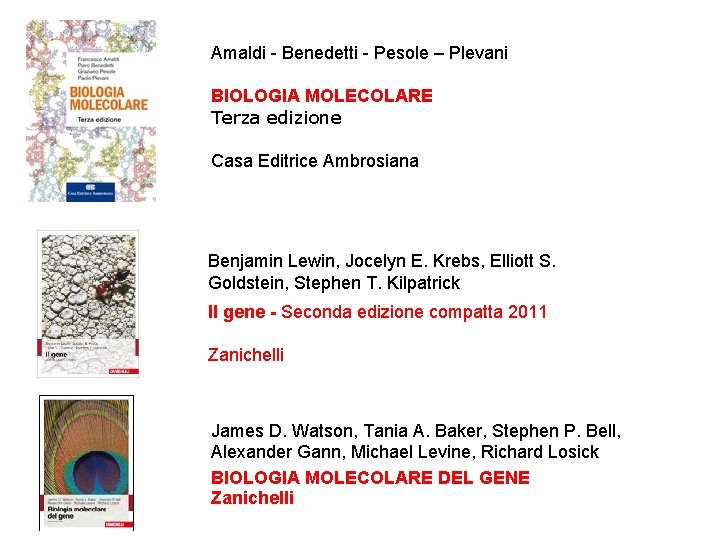 Amaldi - Benedetti - Pesole – Plevani BIOLOGIA MOLECOLARE Terza edizione Casa Editrice Ambrosiana