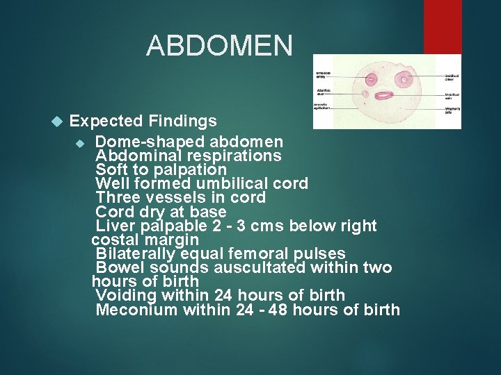 ABDOMEN Expected Findings Dome-shaped abdomen Abdominal respirations Soft to palpation Well formed umbilical cord