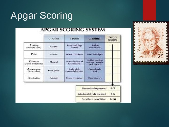 Apgar Scoring 