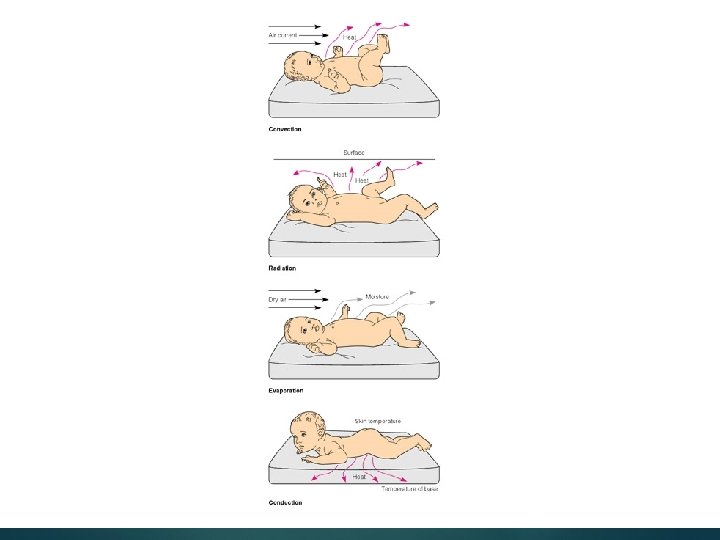 Convection Radiation Evaporation Conduction 