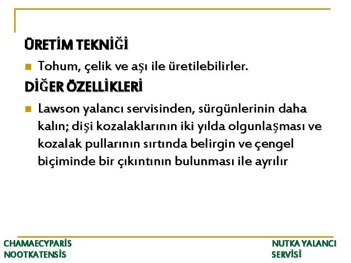 ÜRETİM TEKNİĞİ n Tohum, çelik ve aşı ile üretilebilirler. DİĞER ÖZELLİKLERİ n Lawson yalancı