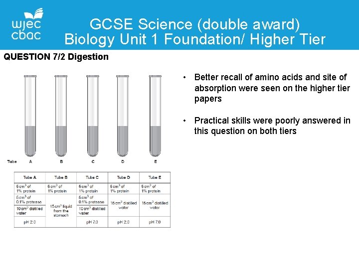 GCSE Science (double award) Biology Unit 1 Foundation/ Higher Tier QUESTION 7/2 Digestion •