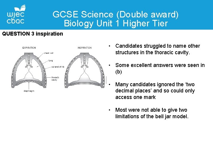 GCSE Science (Double award) Biology Unit 1 Higher Tier QUESTION 3 inspiration • Candidates