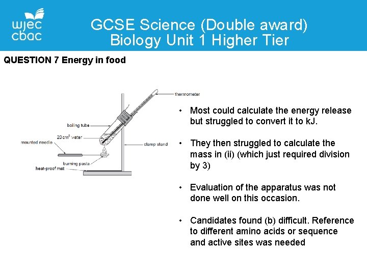 GCSE Science (Double award) Biology Unit 1 Higher Tier QUESTION 7 Energy in food