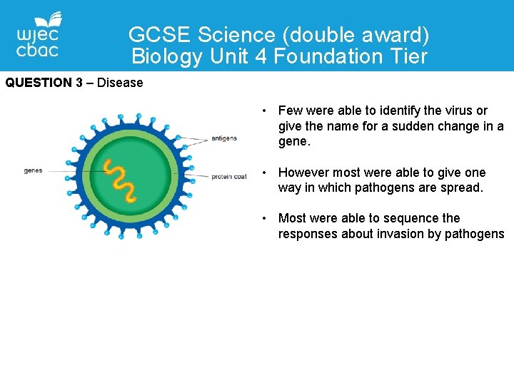 GCSE Science (double award) Biology Unit 4 Foundation Tier QUESTION 3 – Disease •