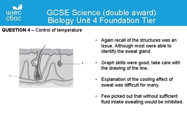 GCSE Science (double award) Biology Unit 4 Foundation Tier QUESTION 4 – Control of