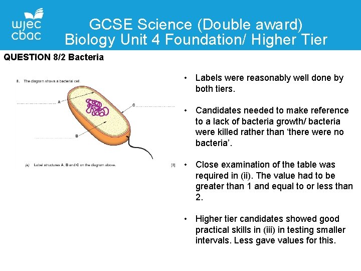 GCSE Science (Double award) Biology Unit 4 Foundation/ Higher Tier QUESTION 8/2 Bacteria •