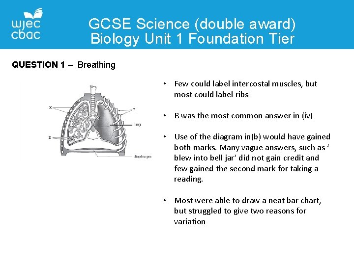 GCSE Science (double award) Biology Unit 1 Foundation Tier QUESTION 1 – Breathing •