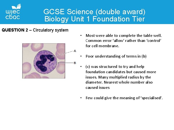 GCSE Science (double award) Biology Unit 1 Foundation Tier QUESTION 2 – Circulatory system