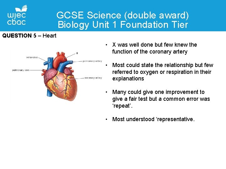 GCSE Science (double award) Biology Unit 1 Foundation Tier QUESTION 5 – Heart •