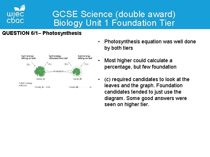 GCSE Science (double award) Biology Unit 1 Foundation Tier QUESTION 6/1– Photosynthesis • Photosynthesis