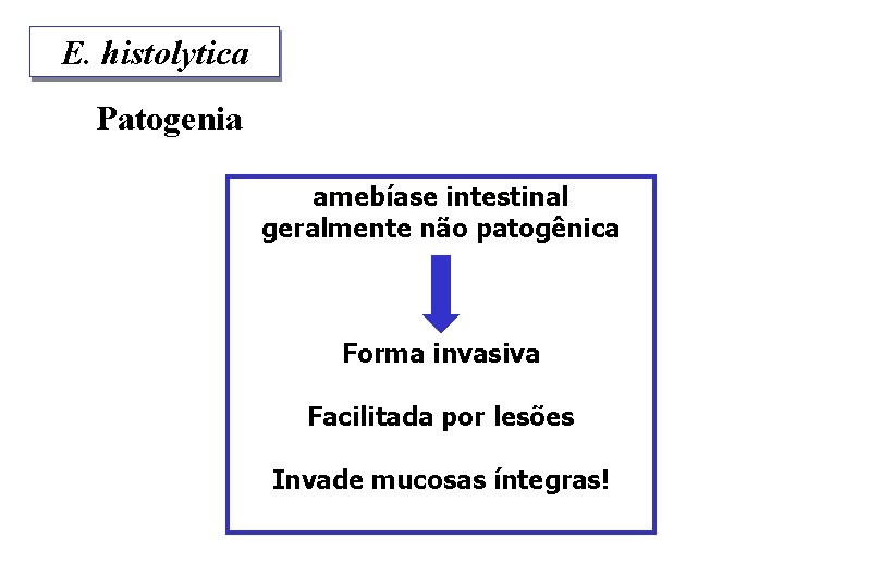E. histolytica Patogenia amebíase intestinal geralmente não patogênica Forma invasiva Facilitada por lesões Invade
