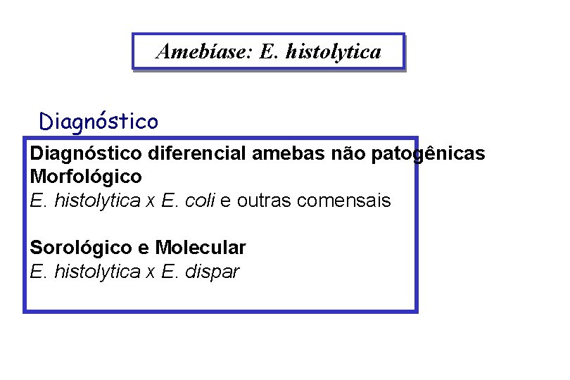 Amebíase: E. histolytica Diagnóstico diferencial amebas não patogênicas Morfológico E. histolytica x E. coli