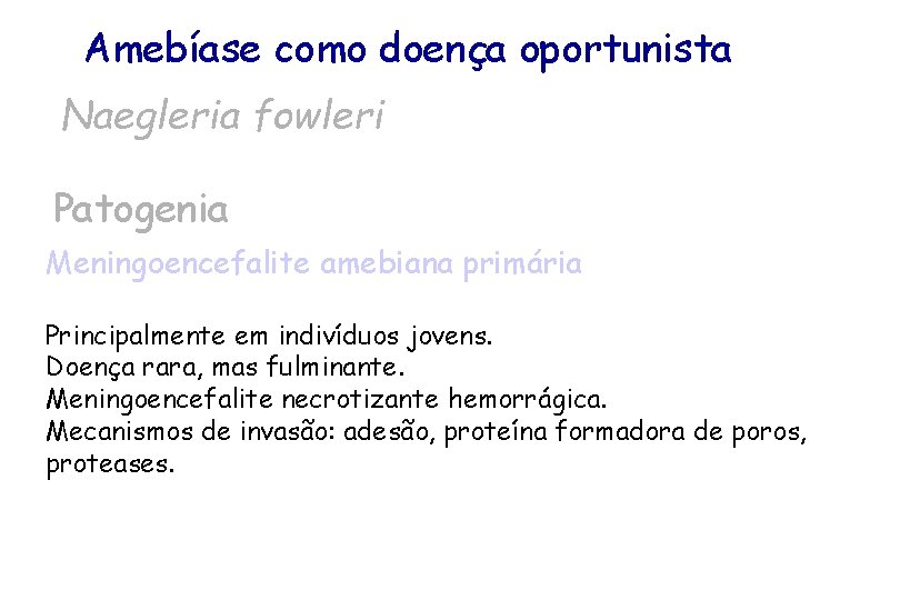 Amebíase como doença oportunista Naegleria fowleri Patogenia Meningoencefalite amebiana primária Principalmente em indivíduos jovens.