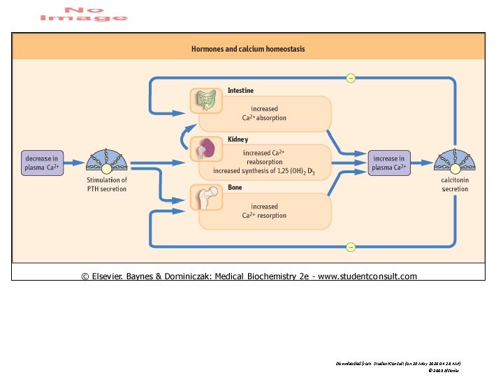 Downloaded from: Student. Consult (on 29 May 2010 04: 26 AM) © 2005 Elsevier Downloaded from: Student. Consult (on 29 May 2010 04: 26 AM) © 2005 Elsevier