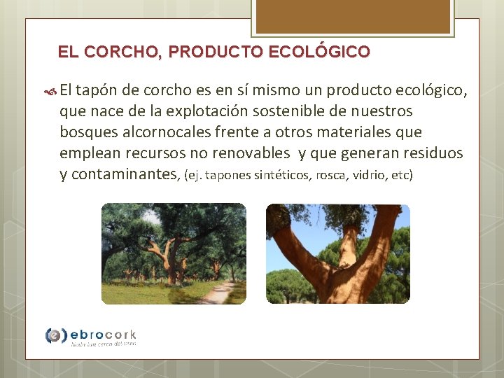 EL CORCHO, PRODUCTO ECOLÓGICO El tapón de corcho es en sí mismo un producto