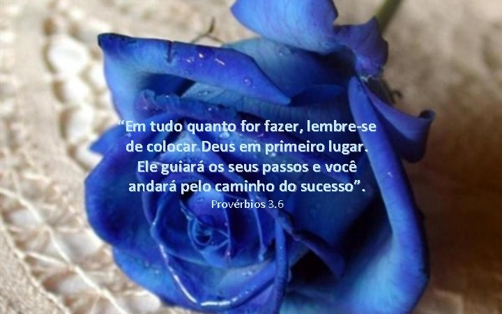 “Em tudo quanto for fazer, lembre-se de colocar Deus em primeiro lugar. Ele guiará