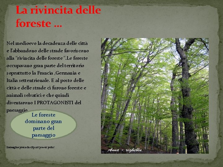 La rivincita delle foreste … Nel medioevo la decadenza delle città e l’abbandono delle