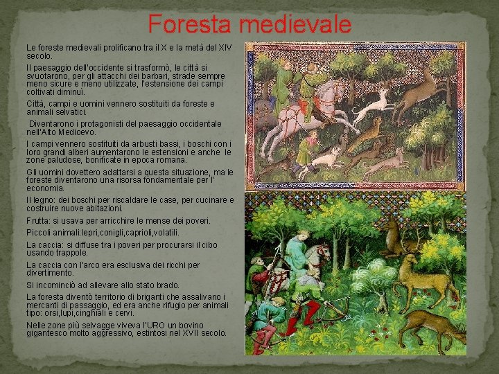 Foresta medievale Le foreste medievali prolificano tra il X e la metà del XIV