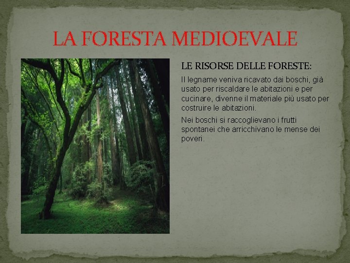 LA FORESTA MEDIOEVALE LE RISORSE DELLE FORESTE: Il legname veniva ricavato dai boschi, già