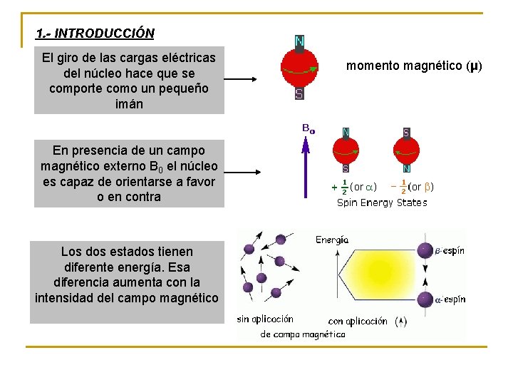 1. - INTRODUCCIÓN El giro de las cargas eléctricas del núcleo hace que se