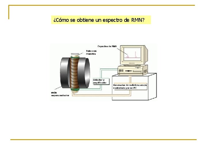 ¿Cómo se obtiene un espectro de RMN? 