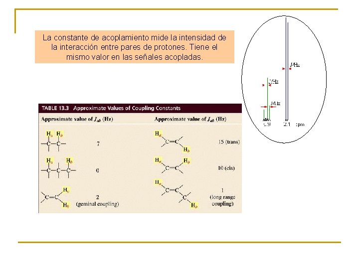 La constante de acoplamiento mide la intensidad de la interacción entre pares de protones.