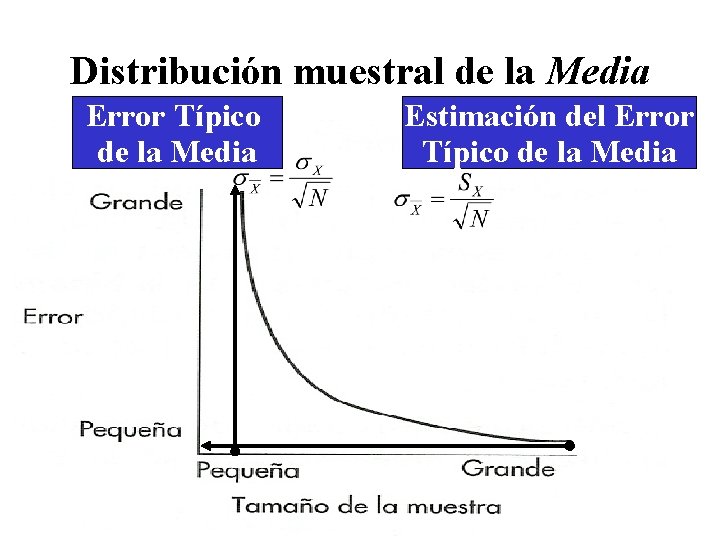 Distribución muestral de la Media Error Típico de la Media Estimación del Error Típico Distribución muestral de la Media Error Típico de la Media Estimación del Error Típico